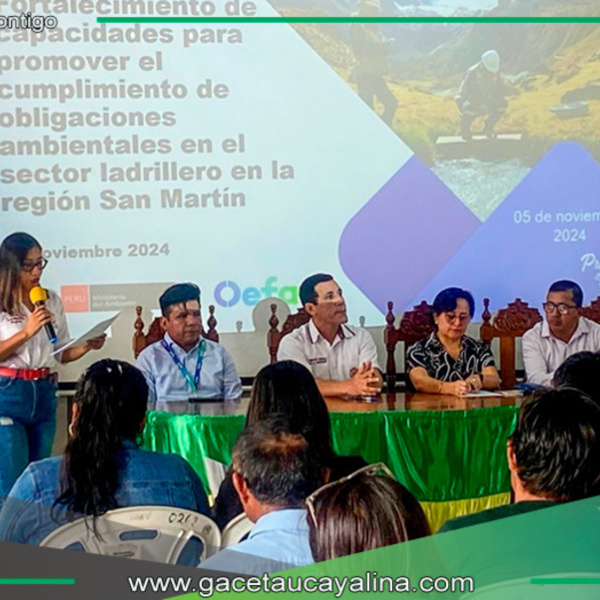 Ladrilleras conocen experiencias de Colombia para reducir el impacto ambiental