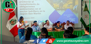 Ladrilleras conocen experiencias de Colombia para reducir el impacto ambiental