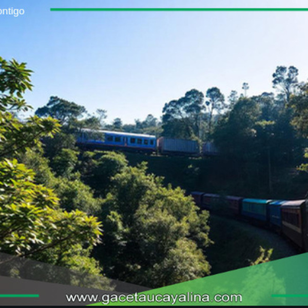 Tren Amazónico: Uniendo Perú con Brasil.