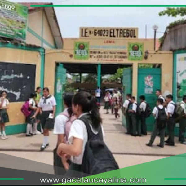 Niños y Adolescentes Afectados en Edad Escolar.
