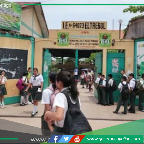 Niños y Adolescentes Afectados en Edad Escolar.