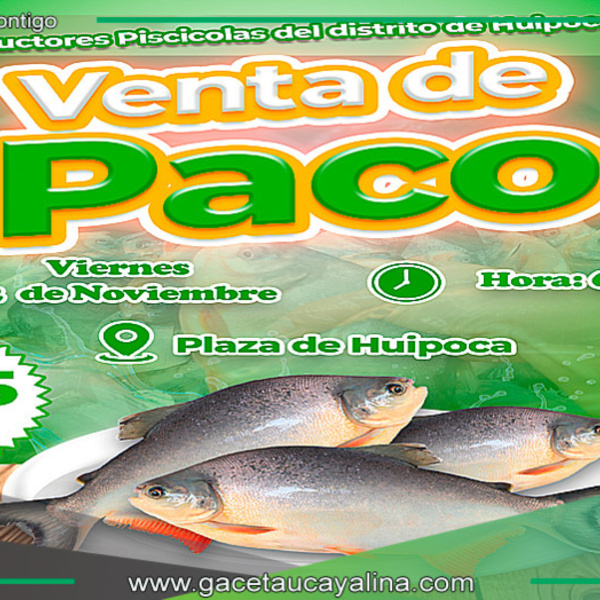 Venta de paco a precio accesible