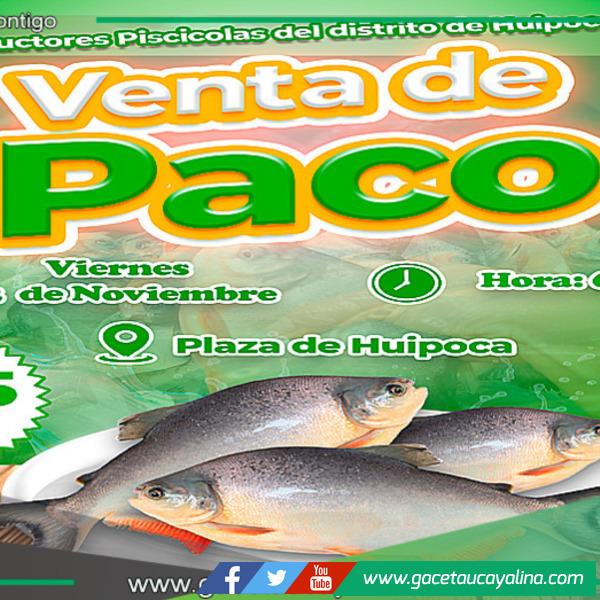 Venta de paco a precio accesible