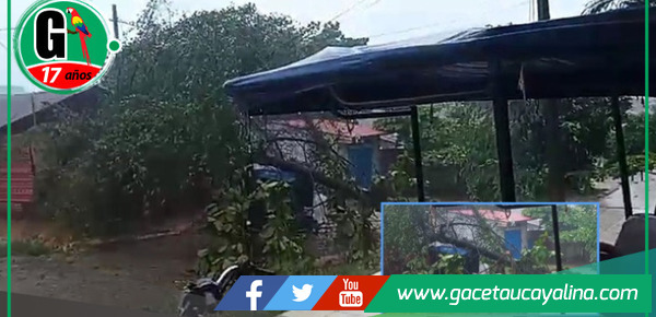 Árbol cae sobre motocar y se reporta dos viviendas inundadas.