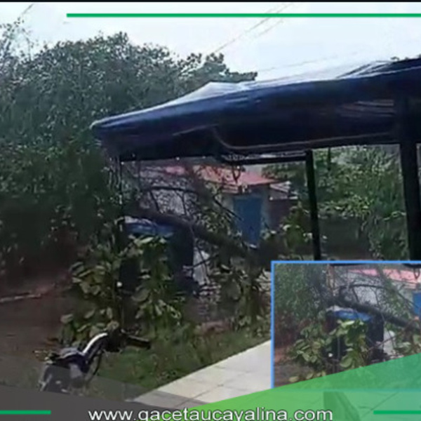 Árbol cae sobre motocar y se reporta dos viviendas inundadas.