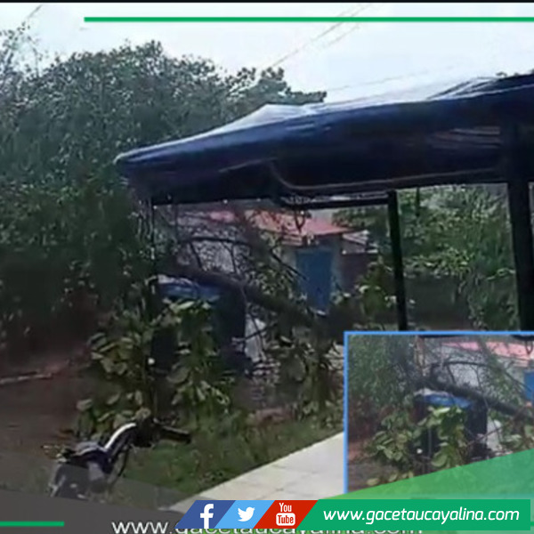 Árbol cae sobre motocar y se reporta dos viviendas inundadas.