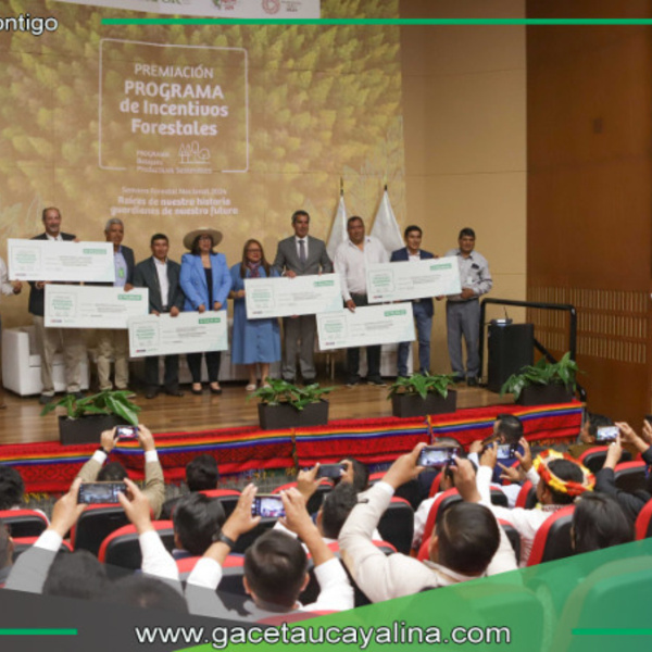 Gobierno destina S/ 30 millones para reforestación comercial en seis regiones