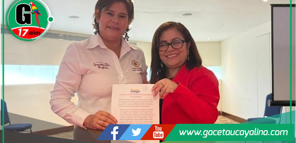 San Martín se suma a estrategia nacional contra violencia sexual infantil