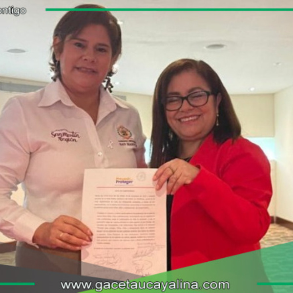 San Martín se suma a estrategia nacional contra violencia sexual infantil