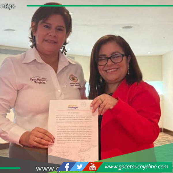 San Martín se suma a estrategia nacional contra violencia sexual infantil