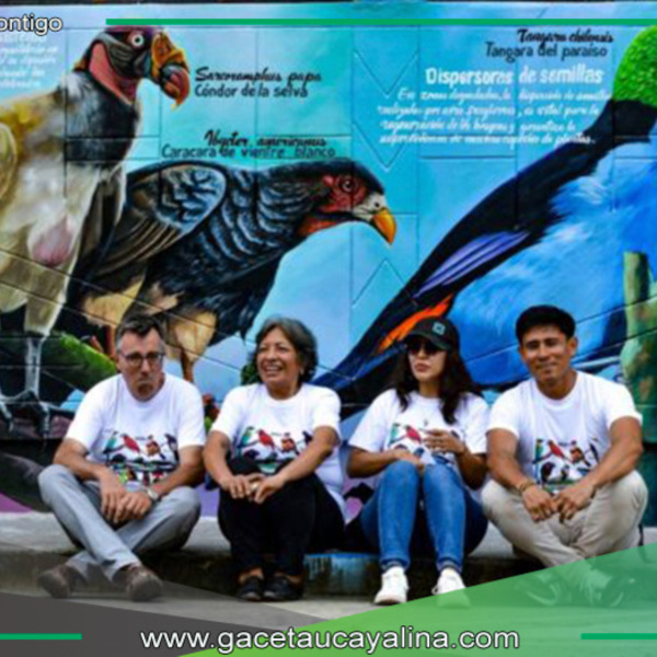 Educación visual y el valor del arte en murales