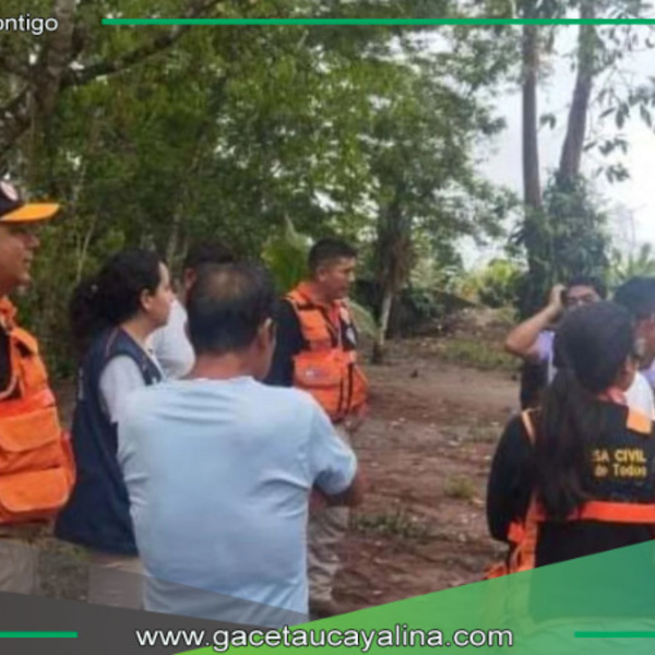 Colapsan puentes en Codo de Pozuzo y aíslan a comunidades de Huánuco y Pasco