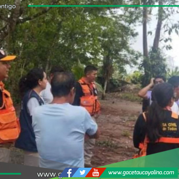 Colapsan puentes en Codo de Pozuzo y aíslan a comunidades de Huánuco y Pasco