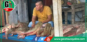 Pescado Cahuara invade mercados de Pucallpa.