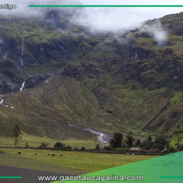 Minam impulsa proyecto para restaurar bosques en corredor Andes Amazónico