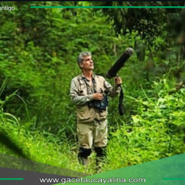 Bosques Amazónicos (BAM) inicia nuevo proyecto en 2025.