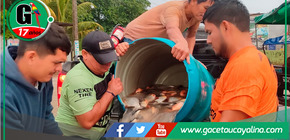  Municipalidad de Atalaya ofrece pescado Paco a bajo costo