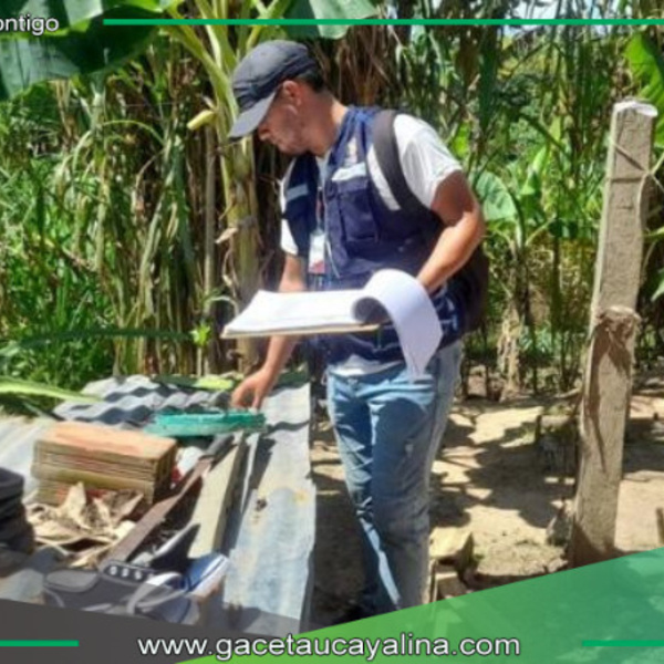 Minsa y Gobierno Regional de San Martín despliegan 120 inspectores contra el dengue