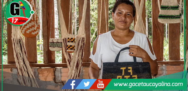 Programa Bosques amplía convocatoria para proyectos sostenibles en cuatro regiones amazónicas