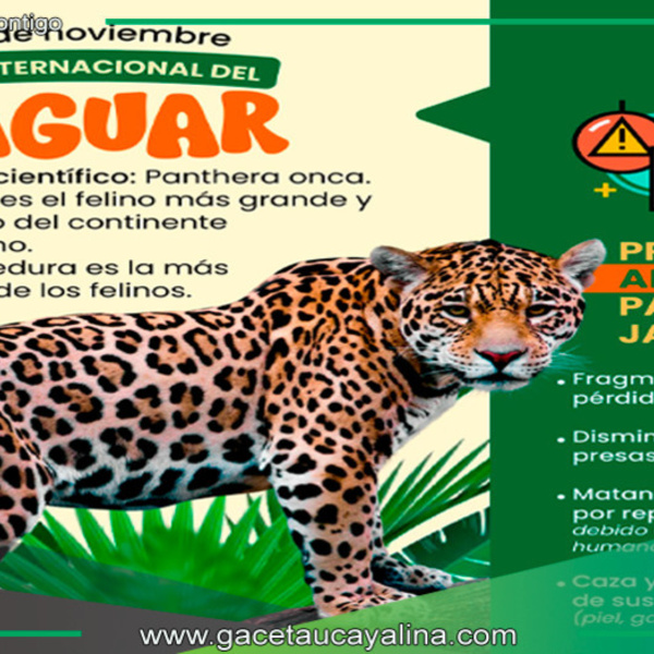  Perú conmemora el Día Internacional del Jaguar