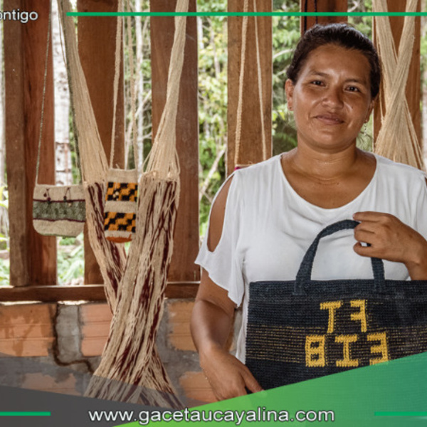 Programa Bosques amplía convocatoria para proyectos sostenibles en cuatro regiones amazónicas