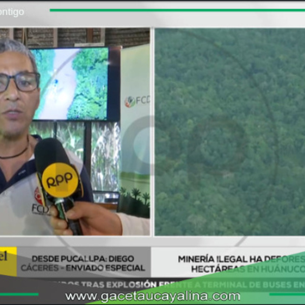 Minería ilegal deforesta 500 mil hectáreas en Huánuco y Ucayali.