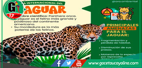  Perú conmemora el Día Internacional del Jaguar