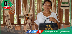 Programa Bosques amplía convocatoria para proyectos sostenibles en cuatro regiones amazónicas