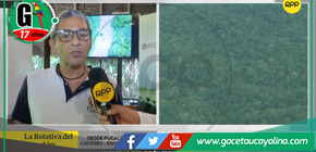 Minería ilegal deforesta 500 mil hectáreas en Huánuco y Ucayali.