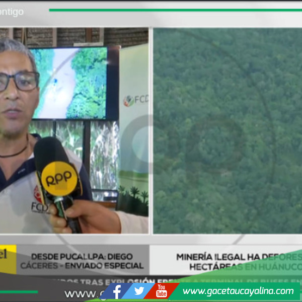 Minería ilegal deforesta 500 mil hectáreas en Huánuco y Ucayali.