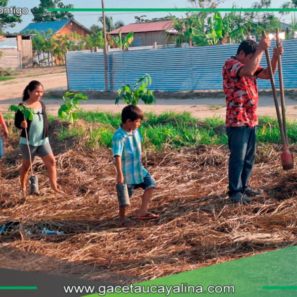  Manantay impulsa reforestación en Amor al Prójimo