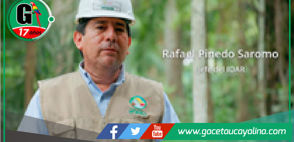 GORE Ucayali equipa con mobiliario a más de 300 escuelas