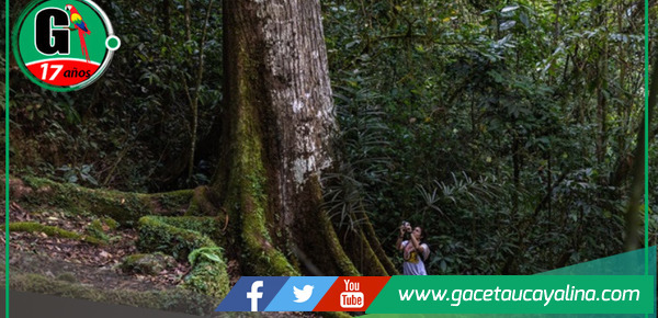 Sernanp lanza promoción 2x1 en ocho áreas naturales protegidas durante cumbre APEC