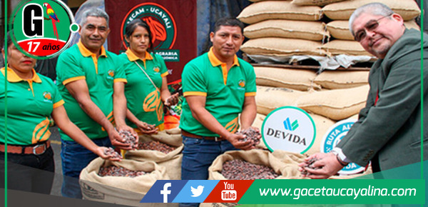 Cooperativa cacaotera de Von Humboldt exporta 25 toneladas de cacao orgánico a Países Bajos.
