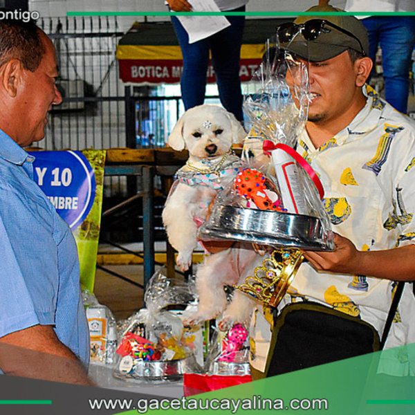 Miss y Míster Canino 2024: Una fiesta de peludos en la Plaza Principal