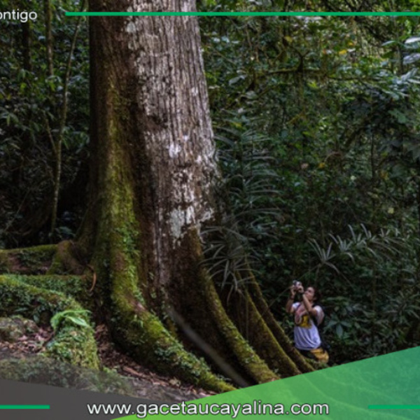 Sernanp lanza promoción 2x1 en ocho áreas naturales protegidas durante cumbre APEC