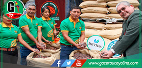 Cooperativa cacaotera de Von Humboldt exporta 25 toneladas de cacao orgánico a Países Bajos.