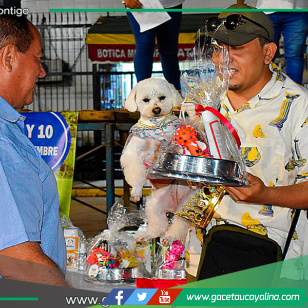 Miss y Míster Canino 2024: Una fiesta de peludos en la Plaza Principal
