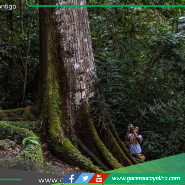 Sernanp lanza promoción 2x1 en ocho áreas naturales protegidas durante cumbre APEC