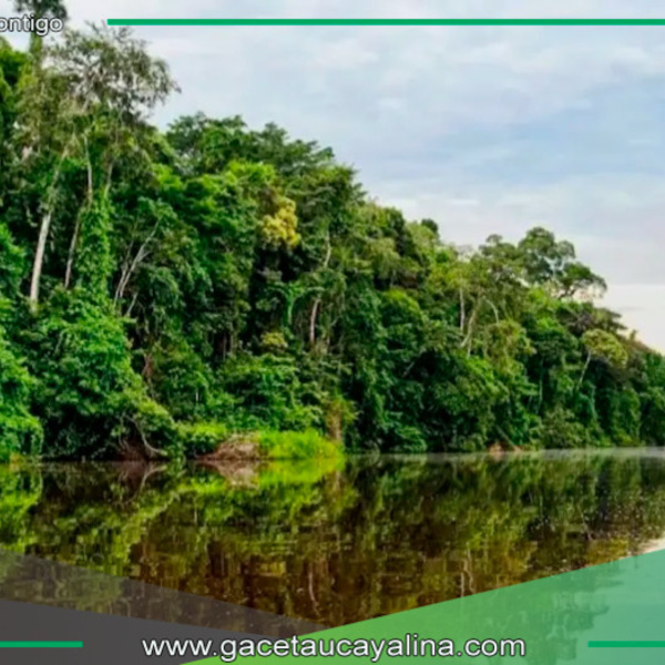 CADE destaca retos y oportunidades en la Amazonía
