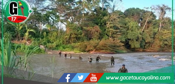 Deforestación crítica por minería ilegal que afecta Ucayali, Huánuco y Pasco.