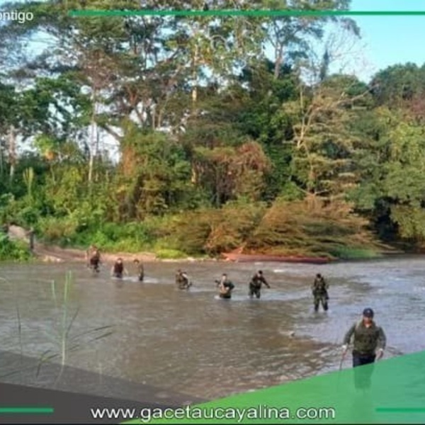 Deforestación crítica por minería ilegal que afecta Ucayali, Huánuco y Pasco.