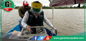 Nuevo vector del virus Oropouche identificado en Ucayali