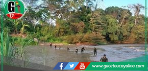 Deforestación crítica por minería ilegal que afecta Ucayali, Huánuco y Pasco.