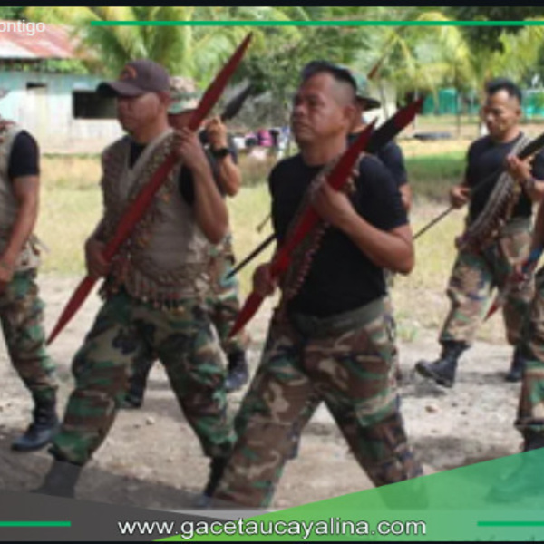 Guardias indígenas de Ucayali enfrentan amenazas de narcos y taladores.