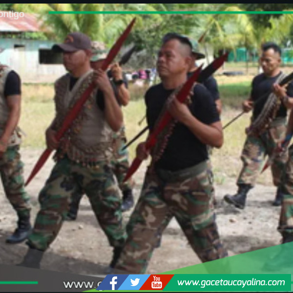 Guardias indígenas de Ucayali enfrentan amenazas de narcos y taladores.