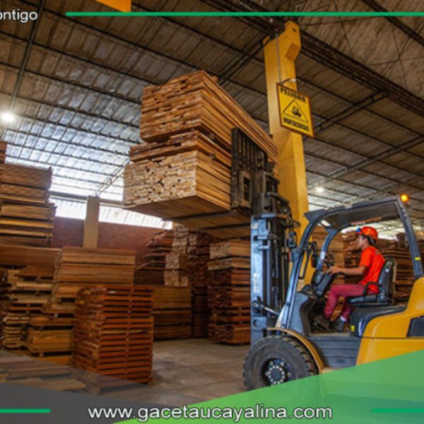SERFOR establece nuevos coeficientes de rendimiento para procesamiento de madera en Perú