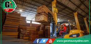 SERFOR establece nuevos coeficientes de rendimiento para procesamiento de madera en Perú