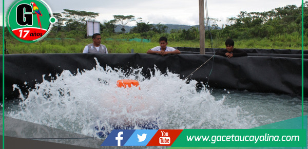 Gobierno regional San Martín capacita a 401 acuicultores con innovadoras tecnologías de producción