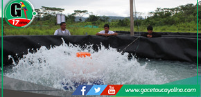 Gobierno regional San Martín capacita a 401 acuicultores con innovadoras tecnologías de producción